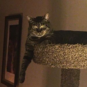 Meet your Posher, Meghan